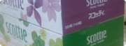 �۳� ����, ���� �ȸ�� ��..