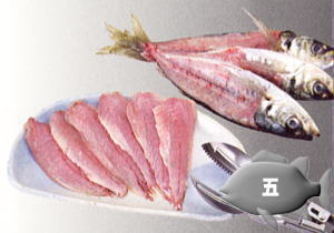 ׫