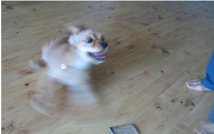 ̹ ŬϽø ũ Ǽ ֽϴ.