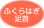 ժϪ・