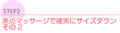 STEP2 ڸëޫëー実˫󡡪2