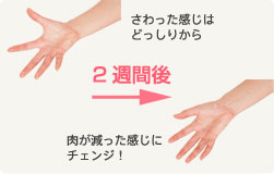 ê視Ϫɪêꪫ 2 뿪ê視˫󫸣