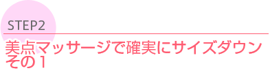 STEP2 ڸëޫëー実˫󡡪Σ