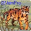 NamPro