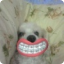 ȣõ